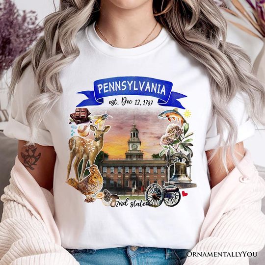 Discover Artistic Pennsylvania State Themes and Landmarks T-Shirt, Tee for History and Travel Lovers