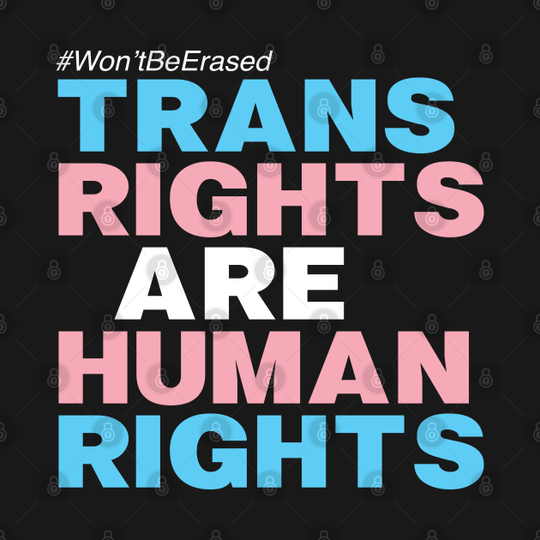 TRANS RIGHTS ARE HUMAN RIGHTS - Trans Rights - T-Shirt