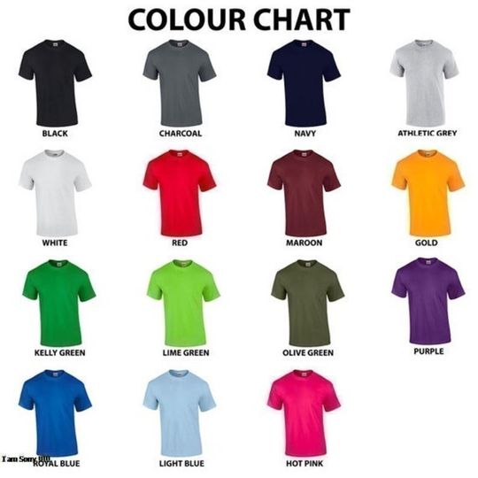 Mortal Kombat vintage shirt