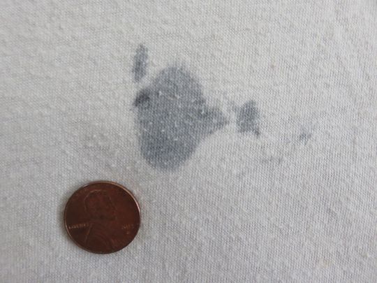 Original DEF LEPPARD 1983 Tour vintage baseball tee