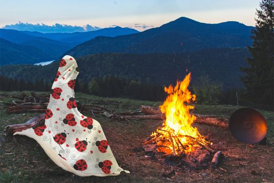 Ladybug Love Hooded Blanket