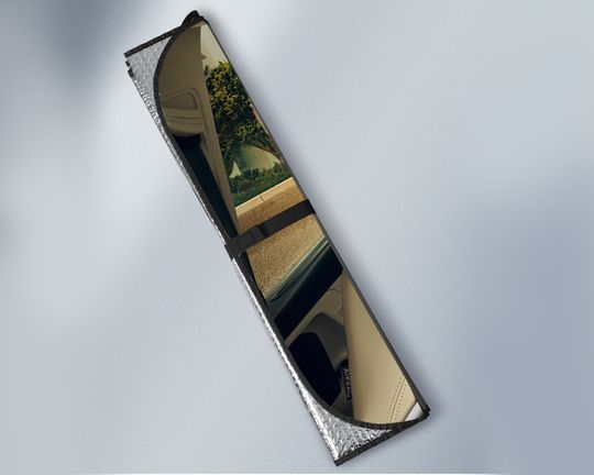 Chihuahua Family Car Sunshade