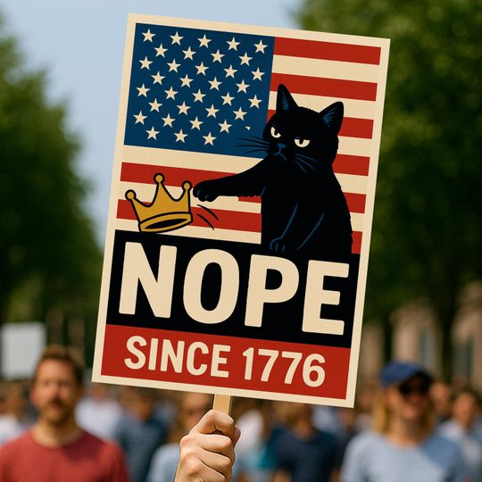 Discover No Kings in America Protest Sign, Anti MAGA Protest Sign for Freedom and Democracy, Trump Political Sign, Since 1776 Patriotic Statement