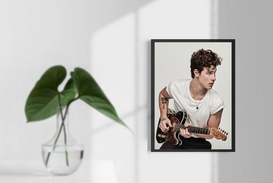 Shawn Mendes Wonder 2022 Tour Posters, Home Decor