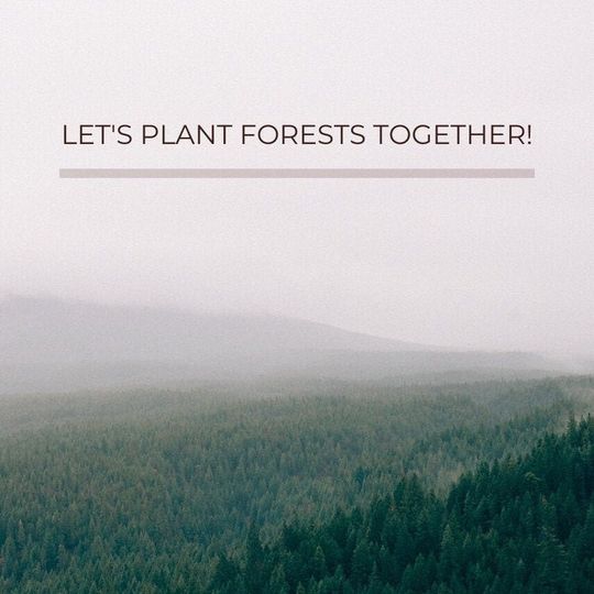 2 Round Multi-Purpose Teak Wood Handmade Spoons Tablespoon Volume