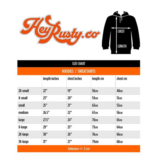 The 1975 Unisex Pullover Hoodie: ABIIOR Version 2.
