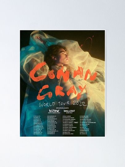 Conan Gray World Tour 2022 Poster