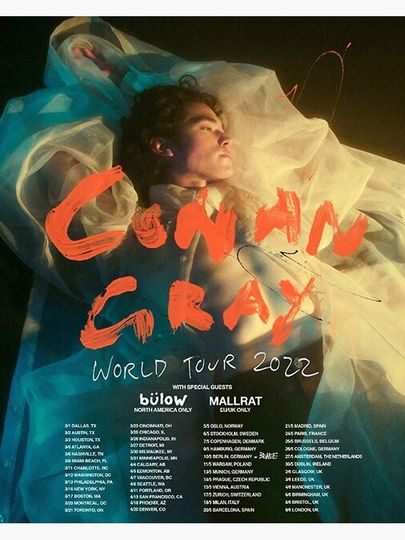 Conan Gray World Tour 2022 Poster