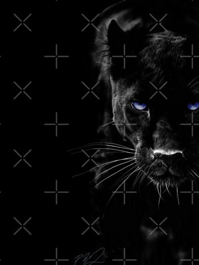 Black Panther Leggings