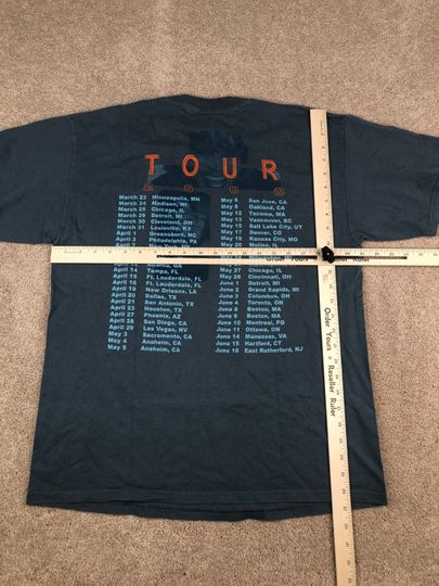 Vintage 2000 Tina Turner Gray T-Shirt