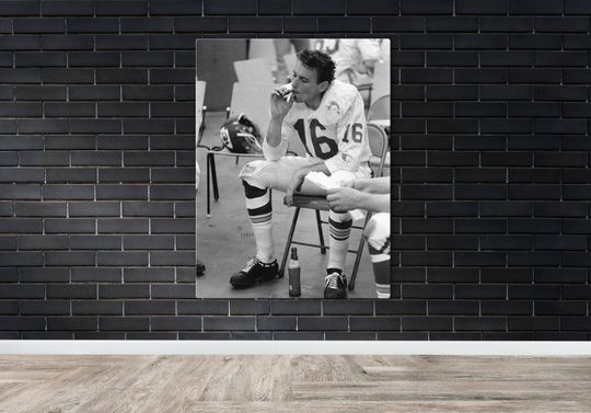 Len Dawson Poster