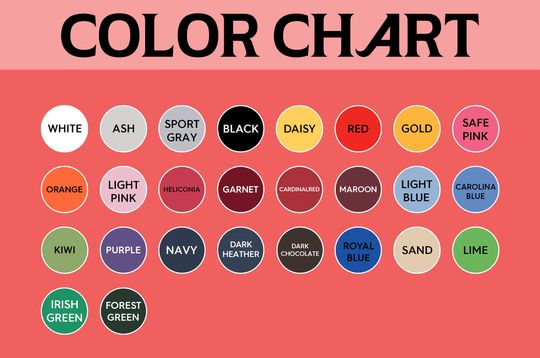 BRUCE SPRINGSTEEN and The E-Street Band Vintage 1981 Double Sided T-Shirt