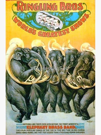 Elephant Brass Band by Ringling Bros. Premium Matte Vertical Poster