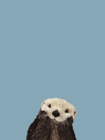 Cute Sea Otter on Steel Blue Solid. Minimalist. Coastal. Adorable Iphone Case