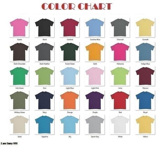 Post Malone 2023 Tour Shirt, Post Malone Fan Hoodie