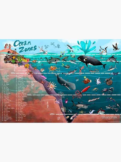 Ocean Zones Illustration Premium Matte Vertical Poster