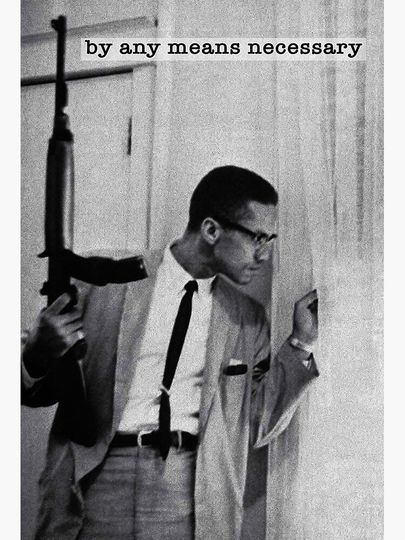Malcolm by any means necessary Premium Matte Vertical Poster