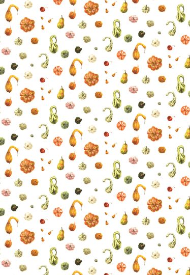 Pumpkins and Gourds Wrapping Paper