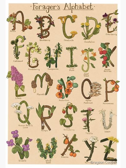 ABCs of Foraging Premium Matte Vertical Poster