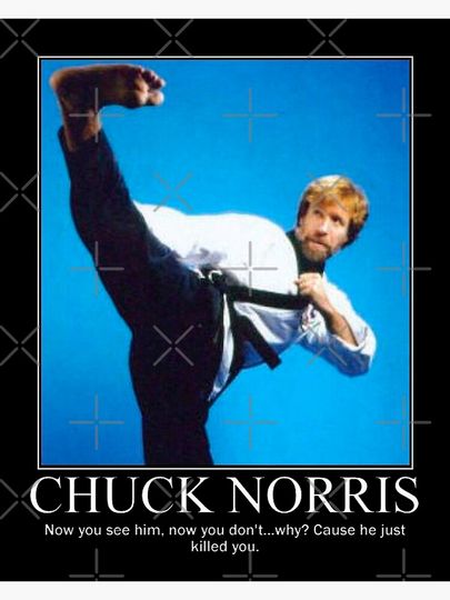 Chuck Norris Kick Premium Matte Vertical Poster