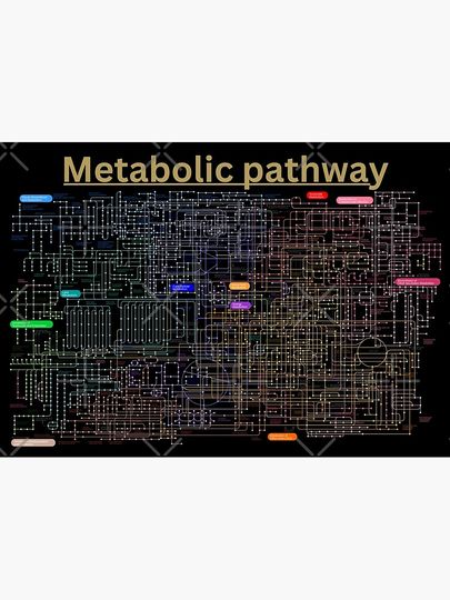 Metabolic pathway of the cell Premium Matte Vertical Poster
