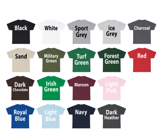 Billy Joel Stevie Nick Tour 2023 T-Shirt