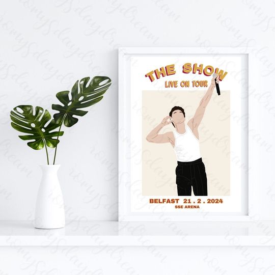 Niall Horan Poster Belfast Night 2