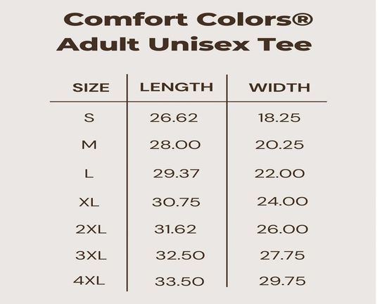 Total Solar Eclipse 2024 Shirt, Gift For Eclipse Lover, April 8th 2024 Shirt