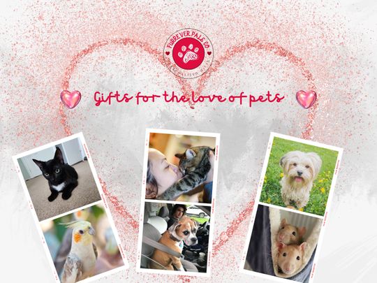 Custom Bootleg Rap Pet Mug | Vintage graphic 90's Mug | Custom Pet Mug