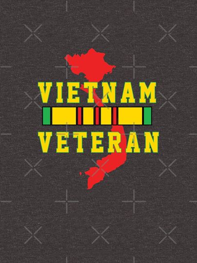 Vietnam Veteran Pullover Hoodie