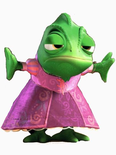 Pascal Tangled Disney Pullover Hoodie