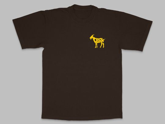 Caitlin Clark Iowa Tshirt Printed Both Sides