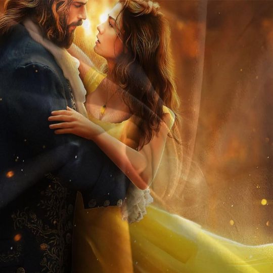 Beauty And The Beast Bedding Set 3D Movie