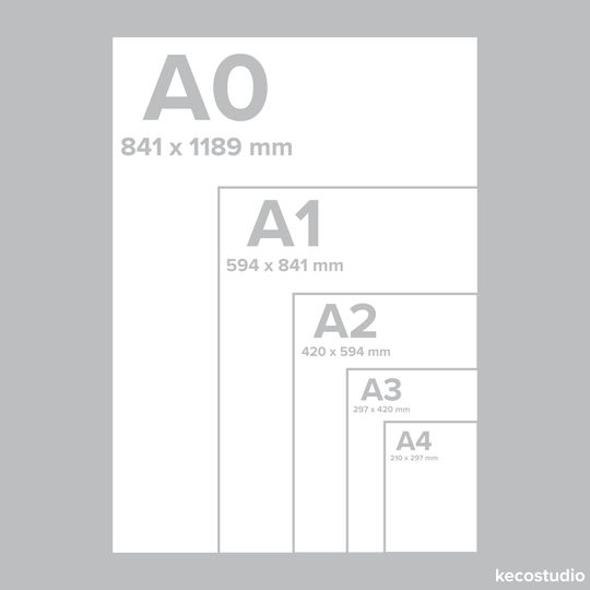 god zilla vs King Kong Poster