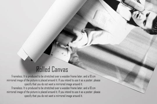 Elvis Presley  Rock and Roll Canvas Wall Art Print