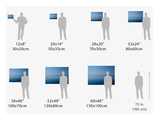 Elvis Presley  Rock and Roll Canvas Wall Art Print