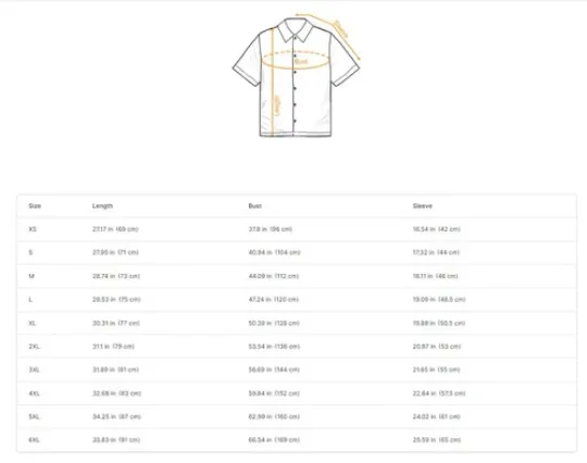 Bruce Springsteen Hawaiian Shirt, Music Lovers Gift