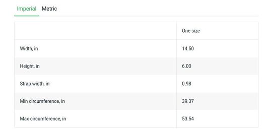 Winnie the Pooh Fanny Pack, Disney Bag