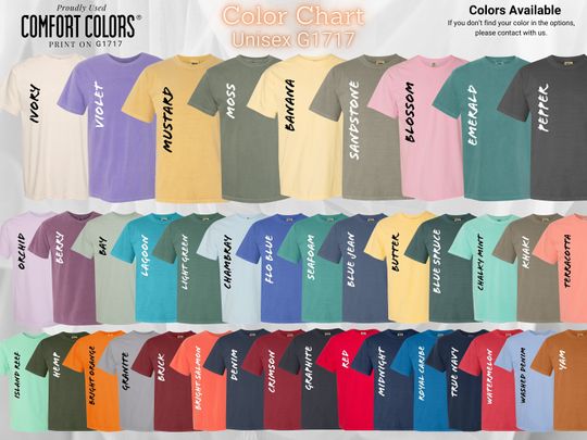 Comfort Colors Disney Fantasia Shirt - Retro Sorcerer Mickey Tee for Disneyworld Trips