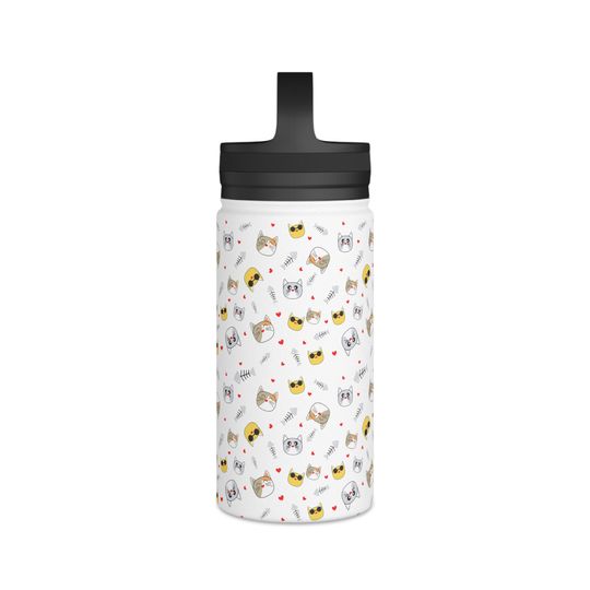 Stainless Steel Water Bottle, Handle Lid