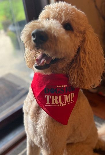Republican Pet Bandana