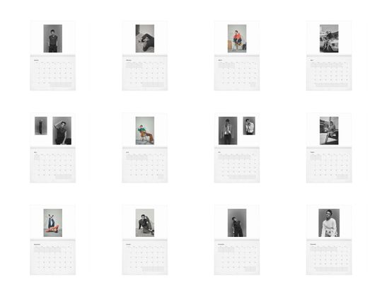 Noah Schnapp Vol.2 - 2025 Wall Calendar