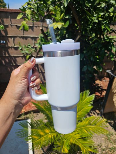 Tangled,  rapunzel,  best day ever 40oz tumbler, princess