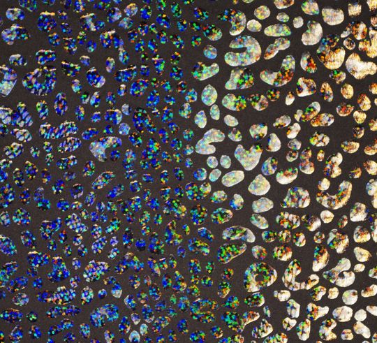 Festival Leggings Men's in Black Holographic Iridescent