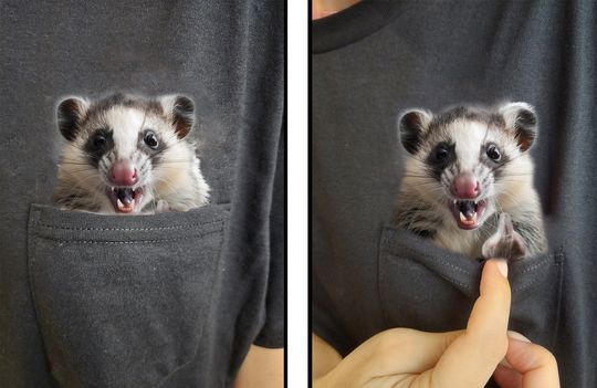Opossum Shirt, Hidden Middle Finger Pocket Funny, Possum Print T-shirt, Unique Gift Idea Funny T-shirt