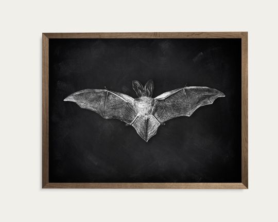 Bat Poster,Halloween Bat Printable Wall Art,Bat Sketch Print