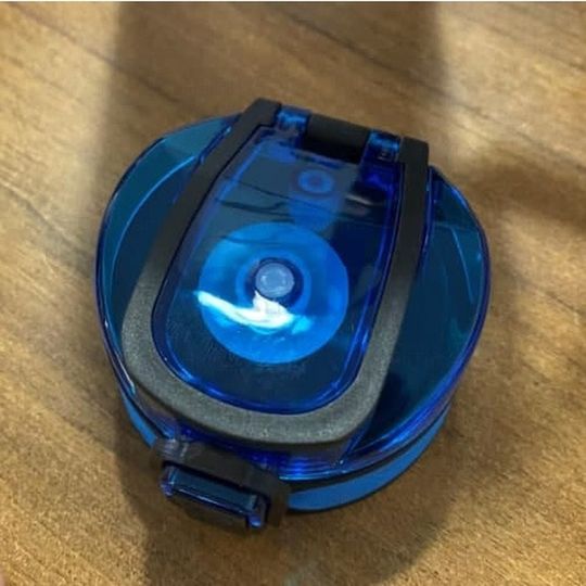 Finding Dory Bottle, Dory Water Tracker Bottle, Finding Dory Birthday Party, Custom Motivational Bottle, Cartoon Bottle