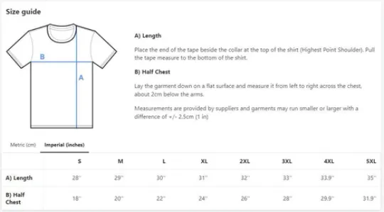 Stray Cats Summer Tour 2024 T-Shirt