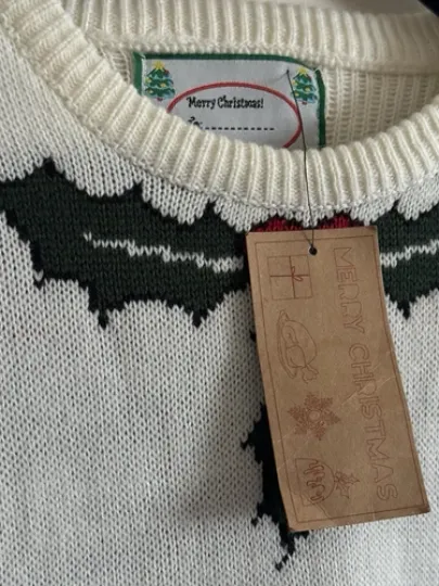 Christmas Pudding Men’s Jumper Sweater Ugly Funny Dinner Party Primark Large NEW