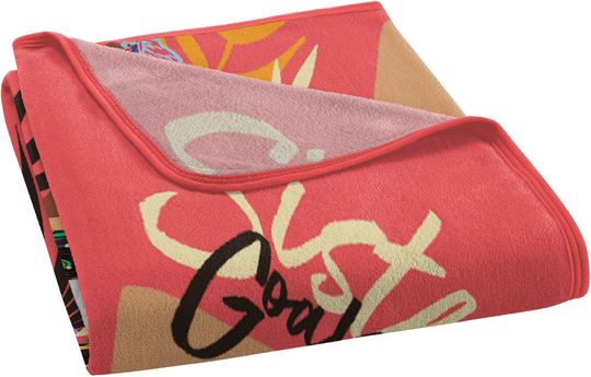 Northwest Disney's Encanto Micro Raschel Throw Blanket, 46" x 60", Sister Fun